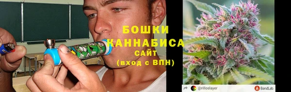 дживик Богородск