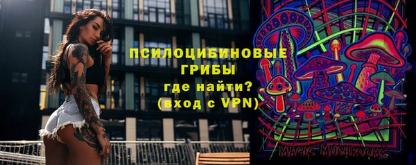 каннабис Богданович